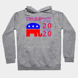 President Trump election 2020. Hoodie